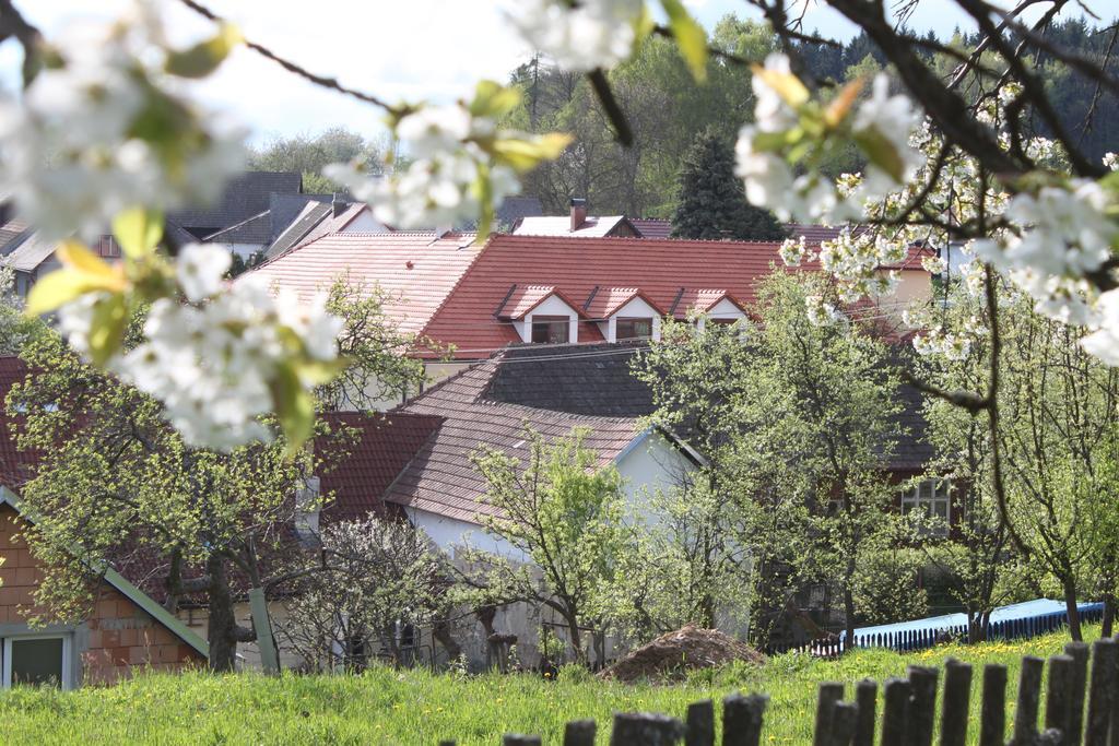 Penzion U Rudolfu Vlasenice Экстерьер фото